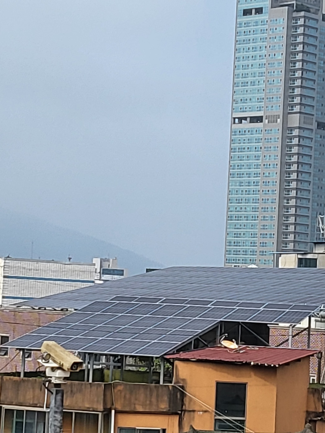 경기도 양평